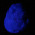 Easy Glow in the Dark Play Dough {with household ingredients}