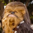 35 Chewbacca Gifts for the--Rawwwwr!