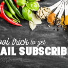 A Cool Trick for Bloggers to Get Email Subscribers
