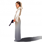 31 Princess Leia Gifts