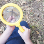 3 Super-Easy Ways to Explore STEM with Preschoolers