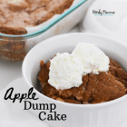 APPLE DUMP CAKE - Dump, Bake and Eat