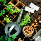 Gardening Hacks for Beginners: Tips and Tricks