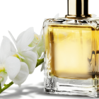 Perfumes for Productivity: A Fragrant Guide to Elevating Your Workday Mood