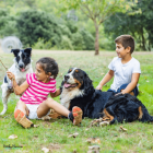 Raising Responsible Kids: The Role of Pets in Family Life