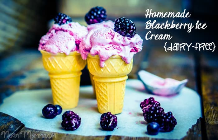 blackberry ice cream homemade feature