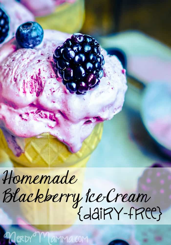 hand made blackberry ice cream pin