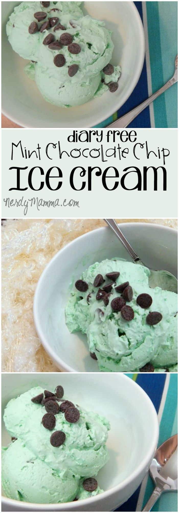 My kids love ice cream, but need dairy-free options. This mint chocolate chip ice cream is perfect for milk-haters everywhere...LOL!