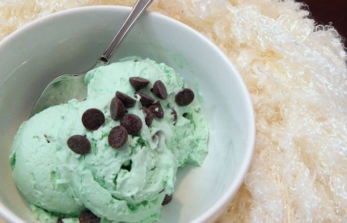 easy recipe for vegan mint chocolate chip ice cream feature