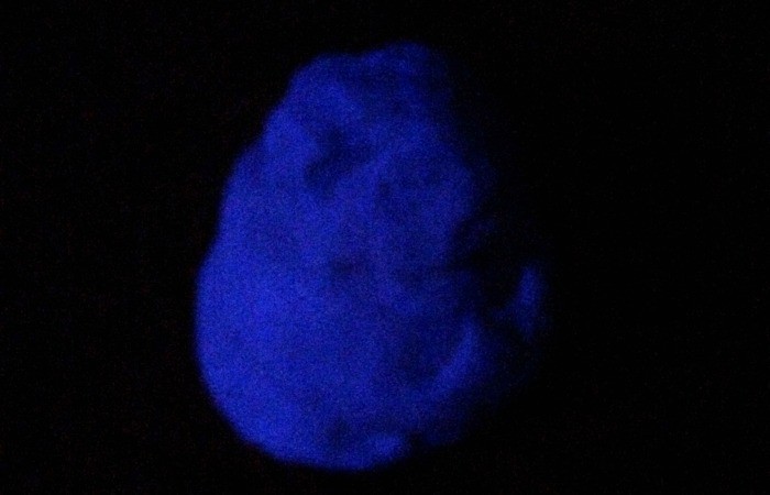 easy play dough that glows in the dark feature