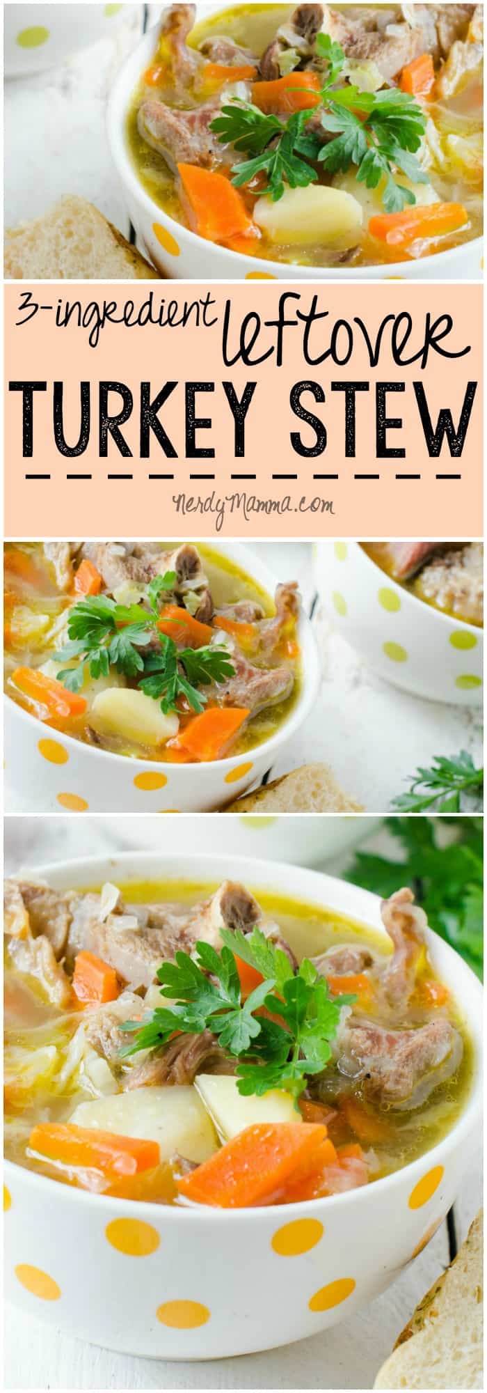 I always have so much leftover turkey after Thanksgiving.With this recipe, though, there won't be any leftovers left over! LOL! Savory Leftover Turkey Stew with only 3-ingredients. Awesome.