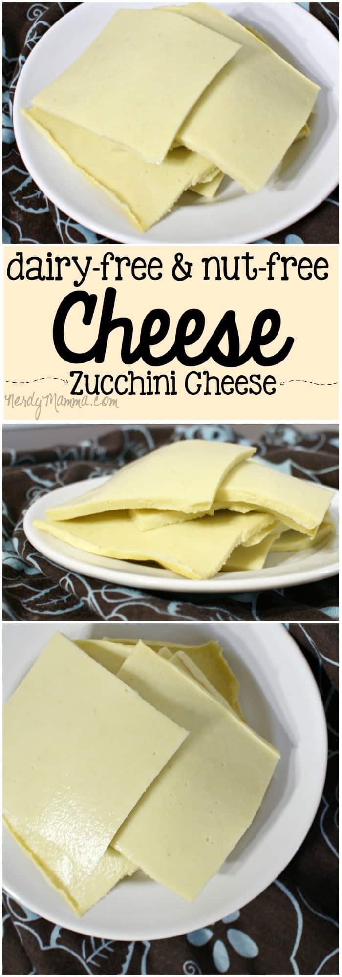 This dairy-free and nut-free cheese recipe is so yummy. It doesn't even taste like zucchini--it tastes like Cheese. LOL!