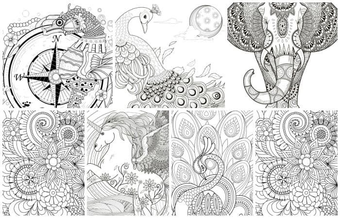 free printable coloring pages for adults feature