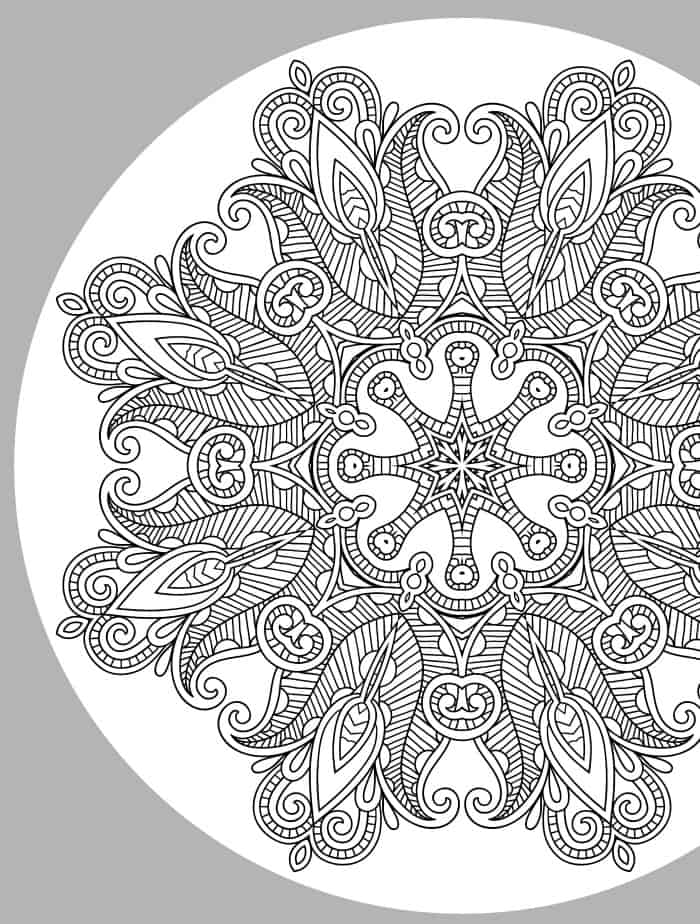 busy free printable adult coloring page web