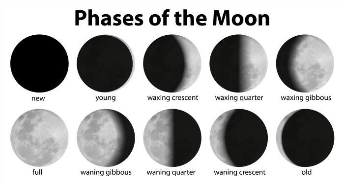 easy STEM game to teach kids the phases of the moon web