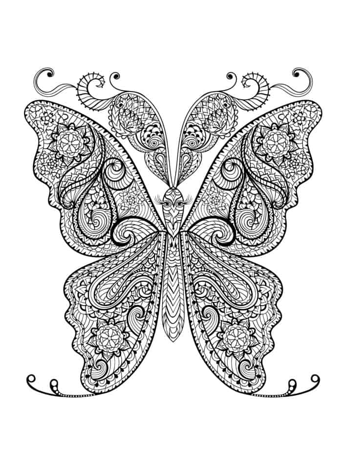 coloring pages for adults with insects pic
