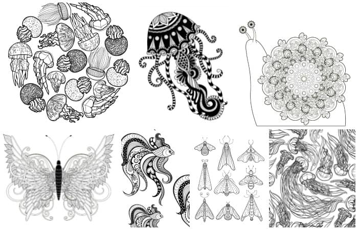 fun adult coloring pages with animals and insects feature