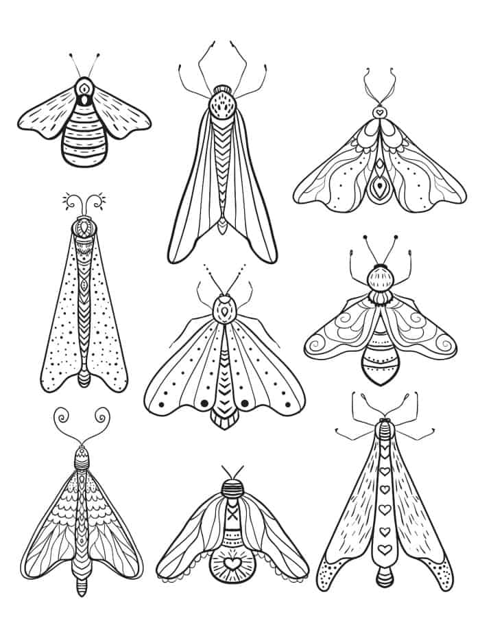 insect free downloadable adult coloring pages pic