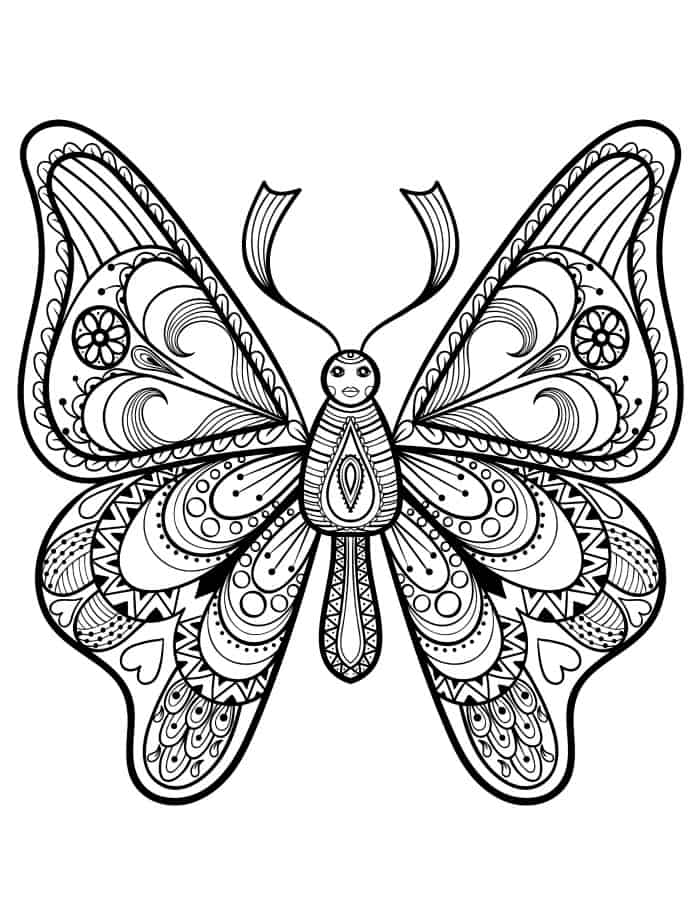 pretty coloring pages for adults with butterflies pic