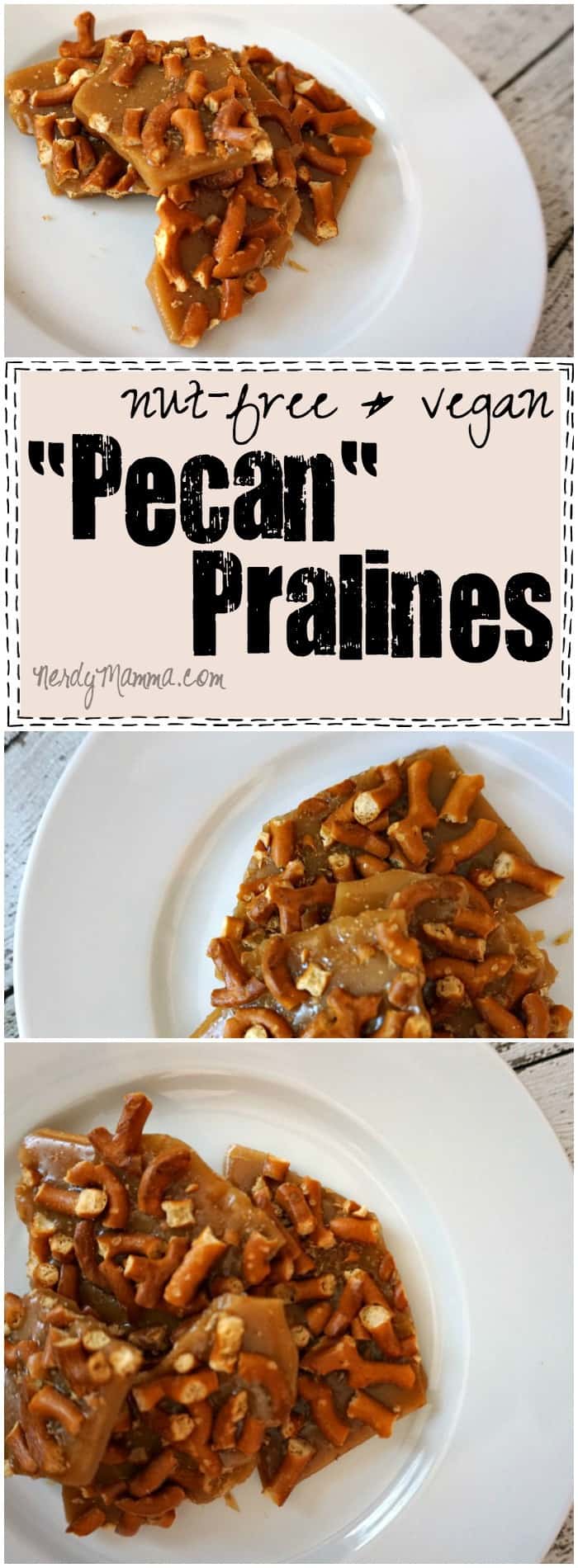 Nut-free and Vegan Pecan Pralines! THIS IS AMAZING. I can't wait to make a batch!