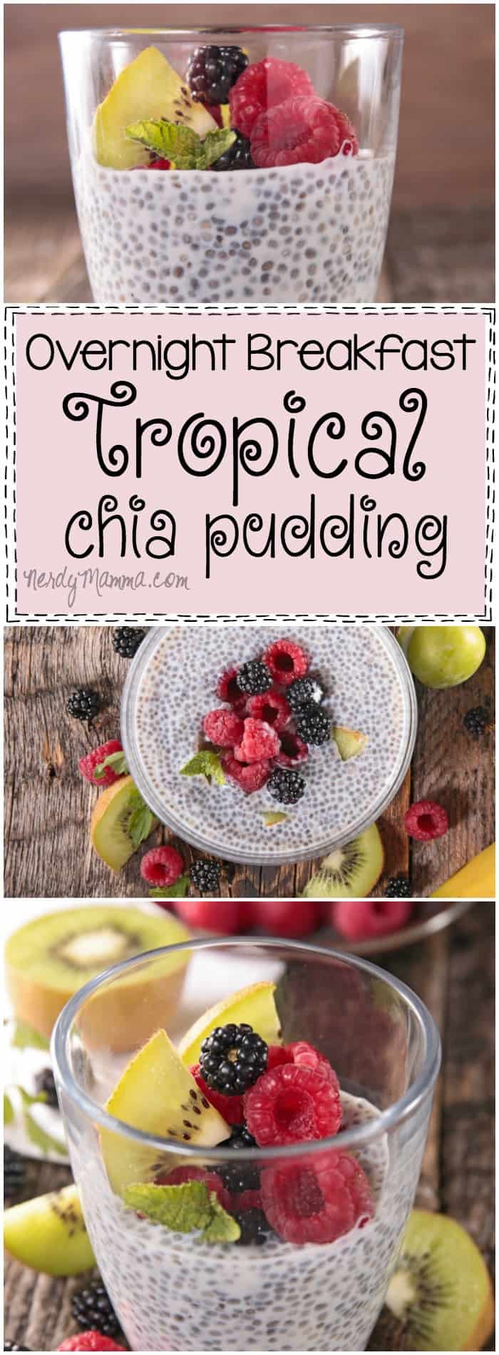 Ooooh, this recipe for overnight breakfast tropical chia pudding Sounds so good...and it's vegan and gluten-free. What could be better!