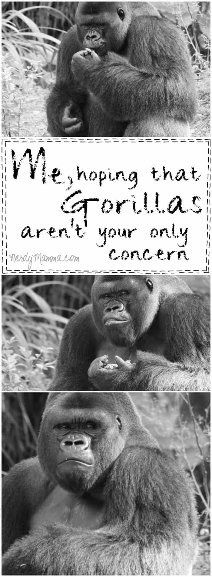 This mom's perspective on this gorilla situation...I kind of agree with her...