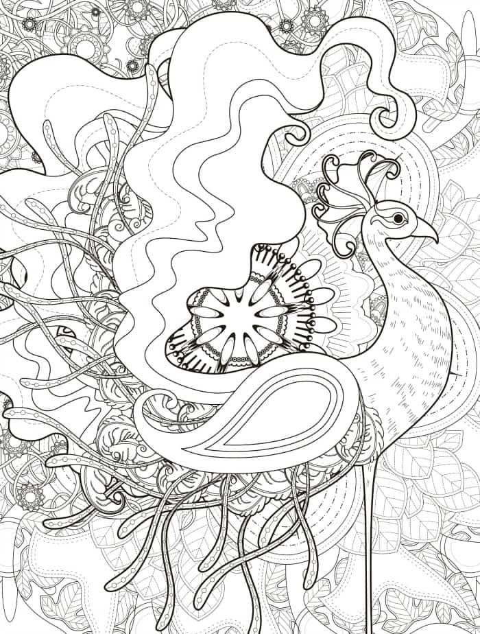 crazy peacock coloring page for adults