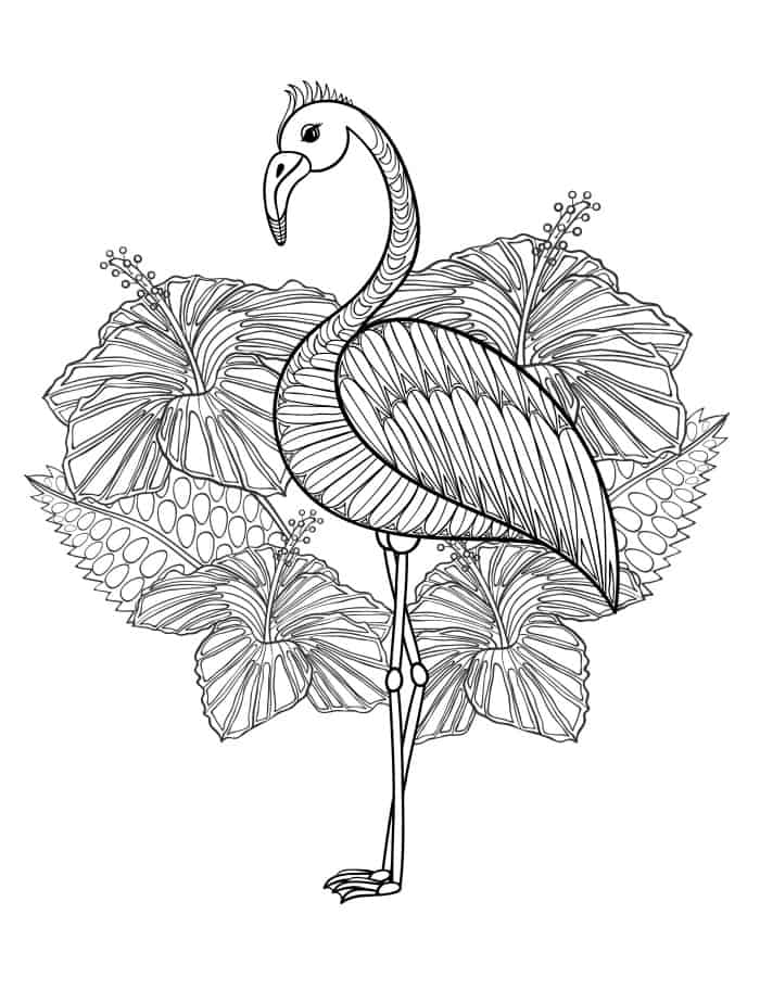 cute flamingo coloring page for adults to print at home