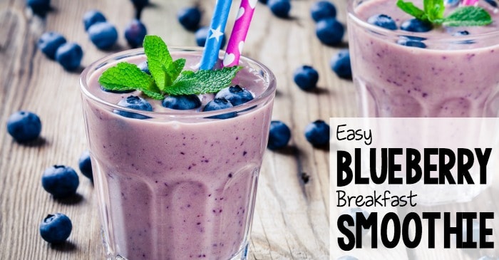 easy blueberry breakfast smoothie fb