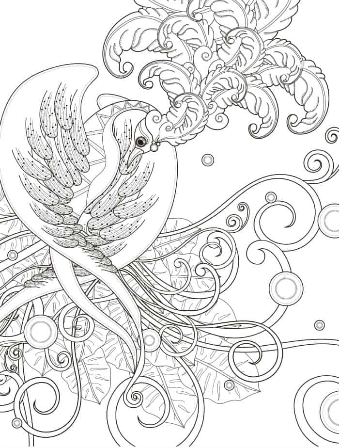 free bird printable adult coloring page