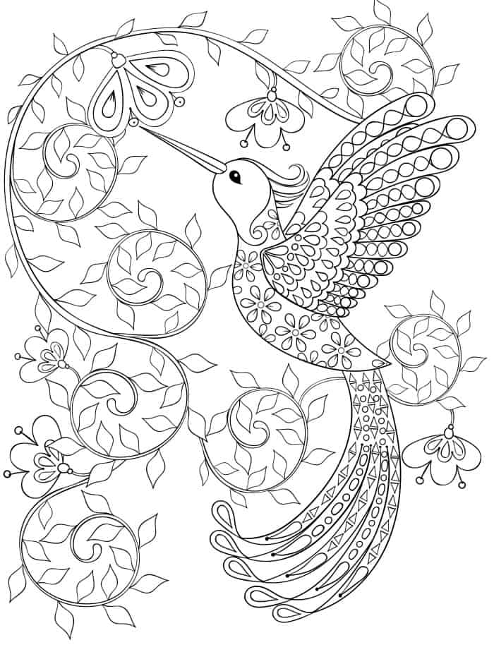 hummingbird coloring pages for adults