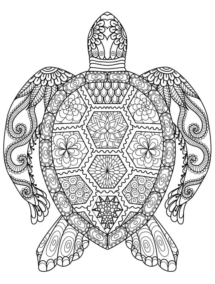 sea turtle coloring page for adults for free download