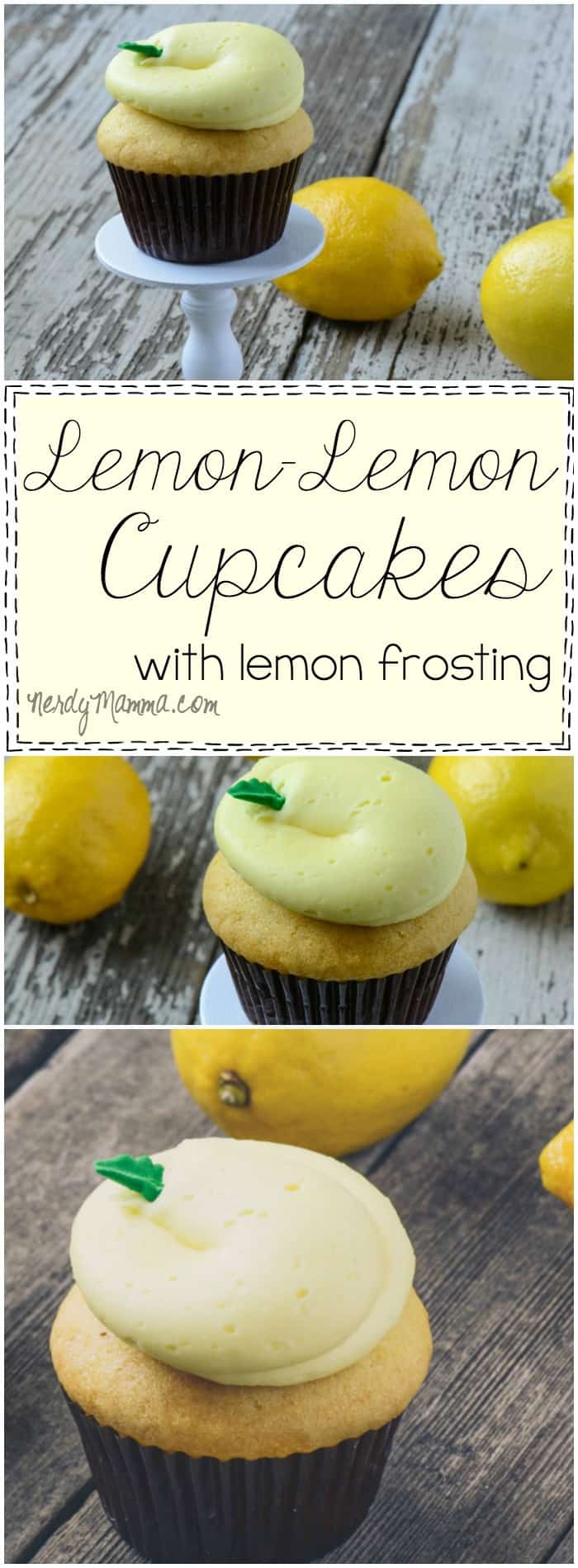 What a PERFECT summer cupcake recipe! I love lemon and these Double Lemon Cupcakes sound wonderful.