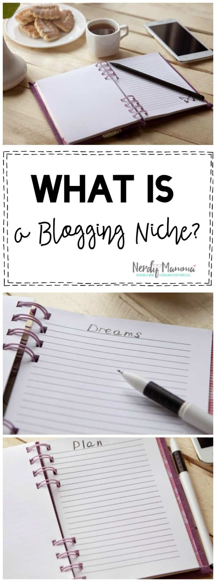 I keep hearing that you need to pick a niche when you start blogging. But what is a blogging niche anyway? This post really cleared that up for me.