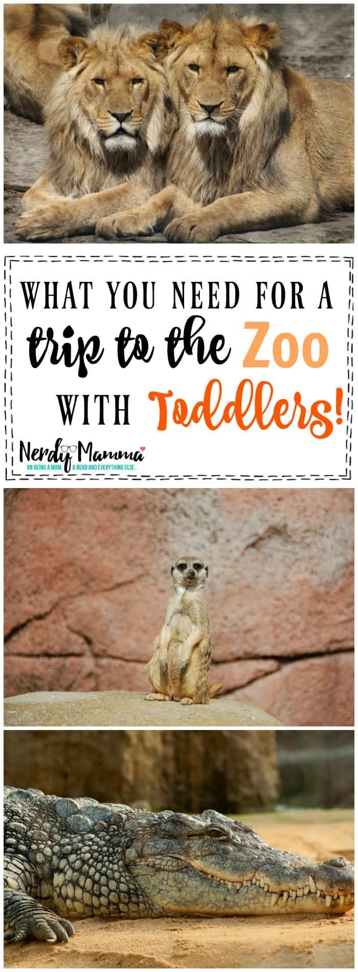 what you need for a trip to the zoo with toddlers