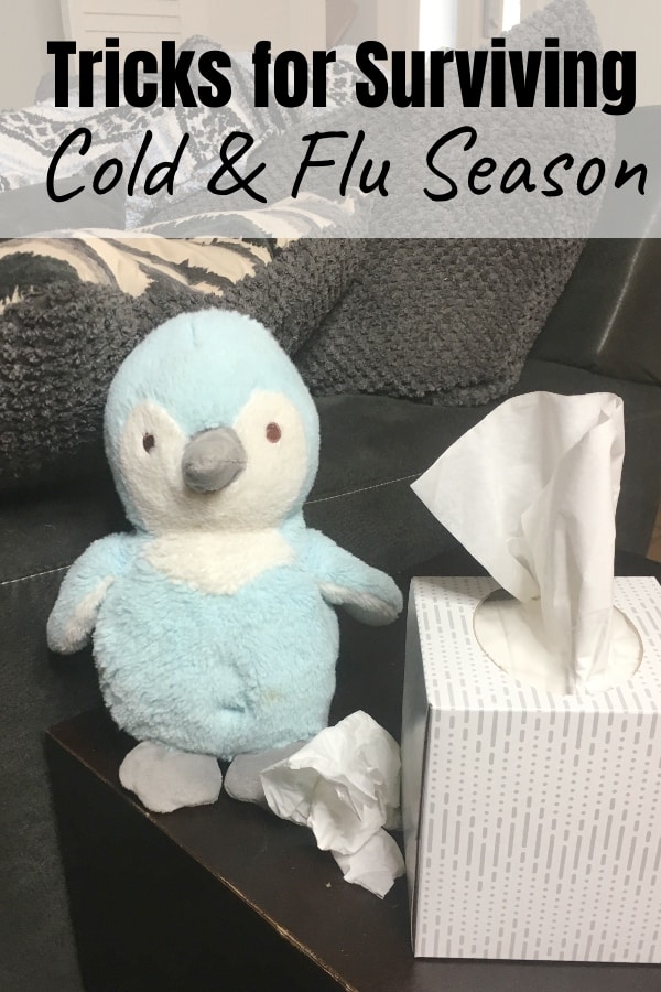 AD I hate cold and flu season and we have to get ahead of it every year or we're buried in sniffles from September to February (meaning: for-eeeeever). To make sure we make it to school and work without being sick messes, we stay on top by following these 3 Tricks for Surviving Cold & Flu Season. #nerdymammablog #TisTheSneezin
