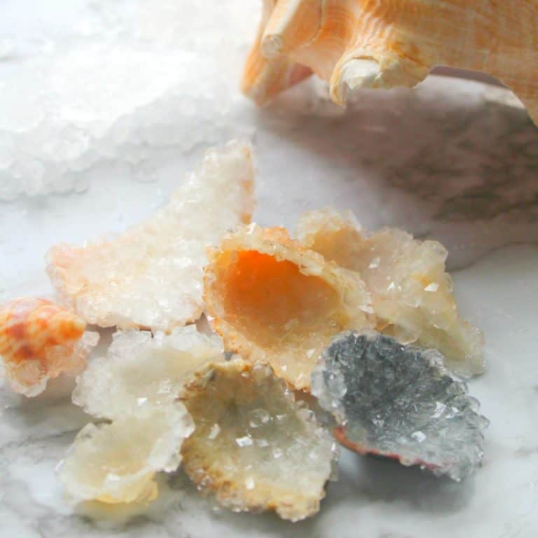 How to Make Crystal Shells - Nerdy Mamma