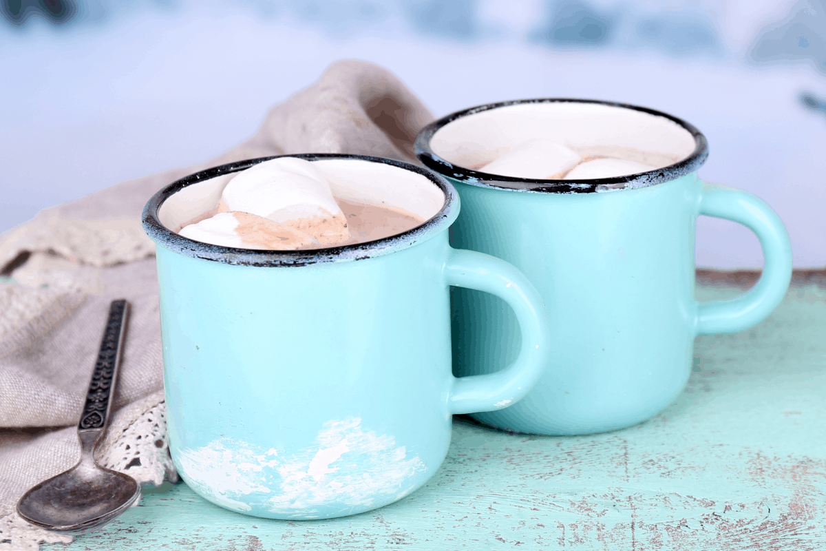 I'm so tired of this cold weather! It's back-and-forth and I just want to be warm. Thank goodness this Vegan Hot Chocolate ( Dairy-Free Hot Cocoa ) warms me up! #nerdymammablog #hotcocoa #hotchocolate #vegan #dairyfree