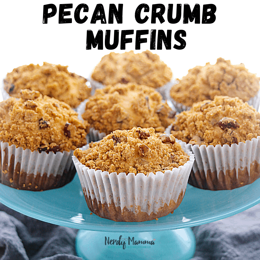 Pecan Crumb Muffins 