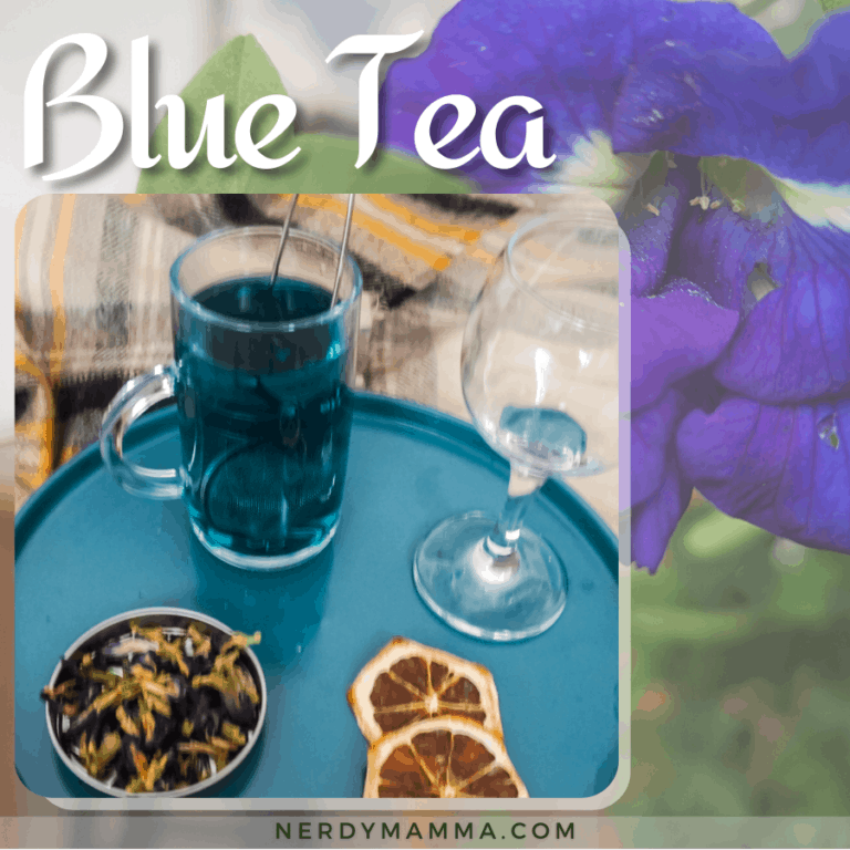 Blue Tea - The Simplest Recipe and What's in it? - Nerdy Mamma