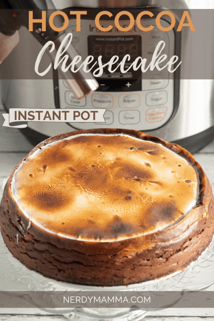 Hot Cocoa Cheesecake with marshmallow
