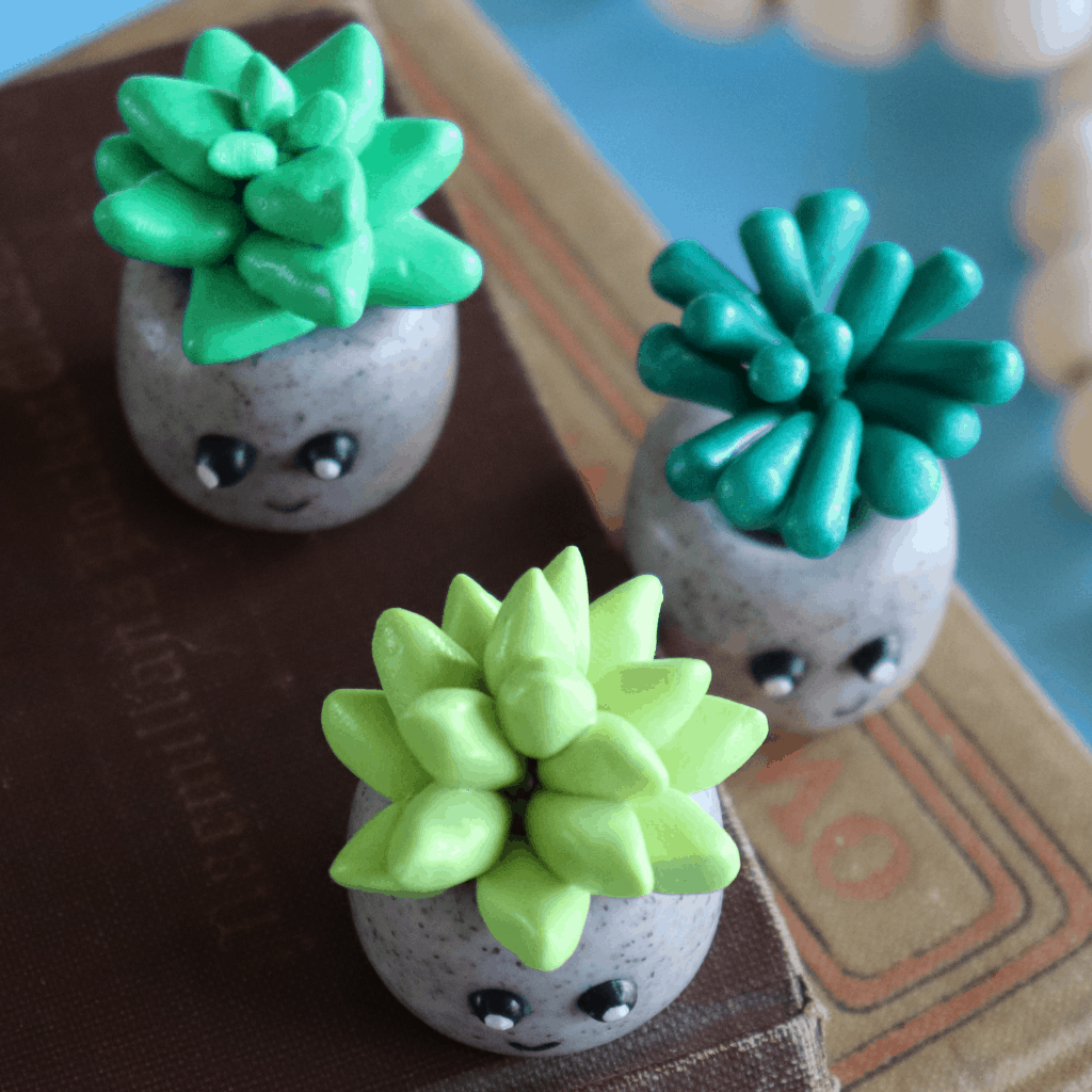 Clay Succulent Craft