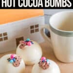 Cookie Butter Hot Cocoa Bombs