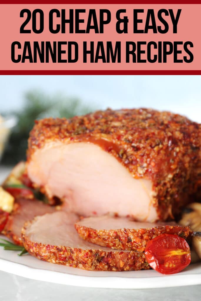 recipes for canned ham with text which reads 20 cheap and easy canned ham recipes