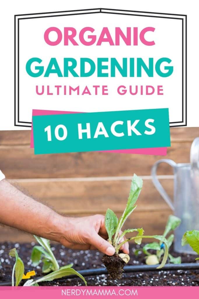 guide to gardening hacks with text which reads organic gardening ultimate guide 10 hacks