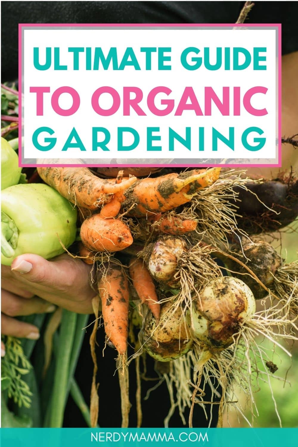 The Ultimate Guide to Organic Gardening - And 10 Organic Gardening ...