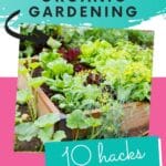 how to plant an organic garden with text which reads ultimate guide to organic gardening 10 hacks