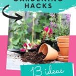 small space gardening ideas with text which reads small-space gardening hacks 13 ideas