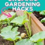 organic gardening hacks for beginners with text which reads ultimate guide organic gardening hacks