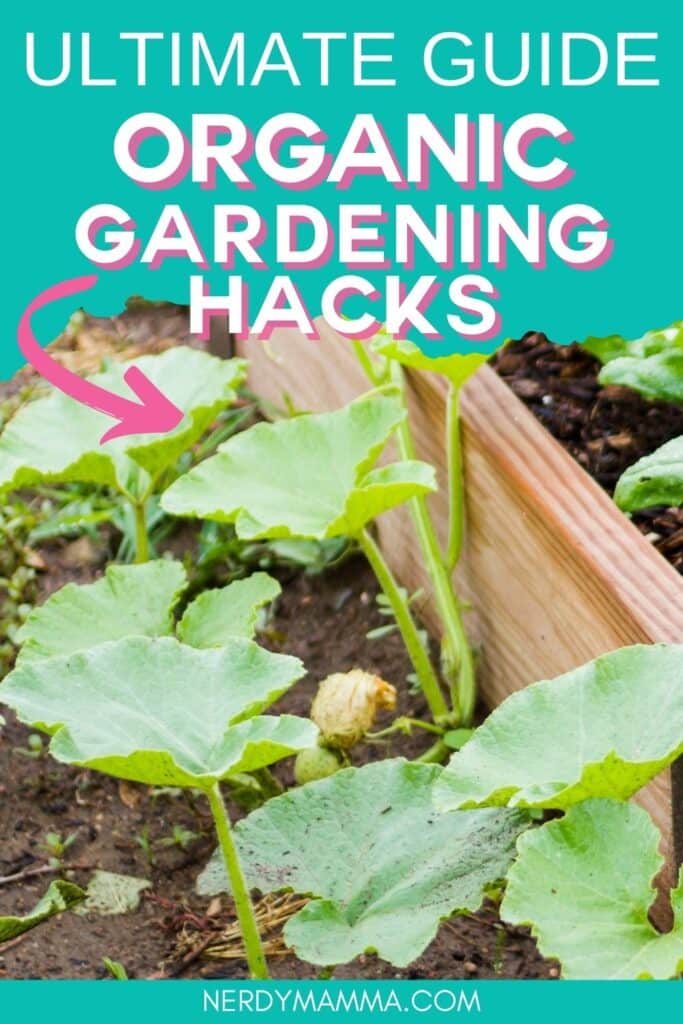 organic gardening hacks for beginners with text which reads ultimate guide organic gardening hacks